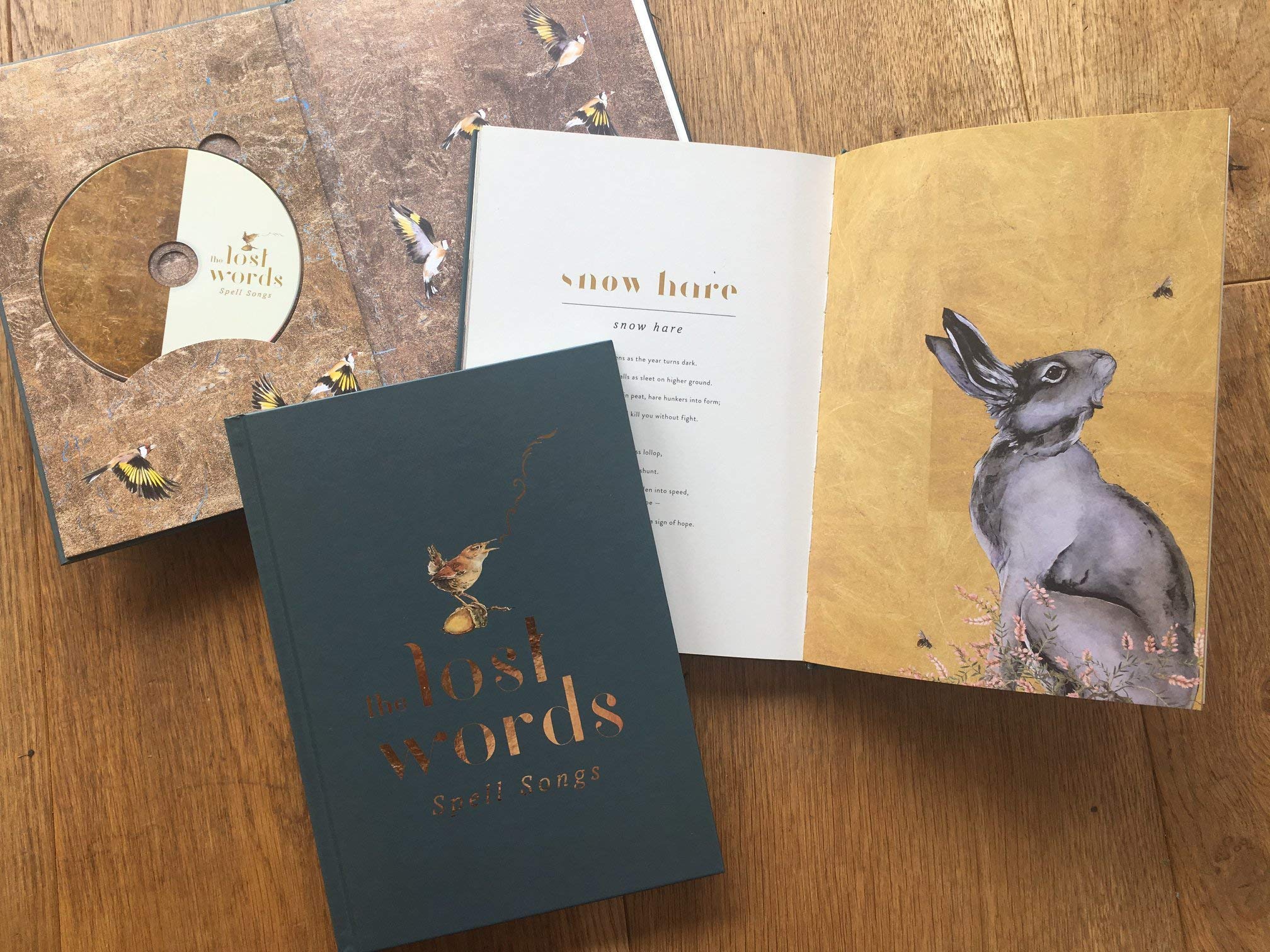 Lost Words: Spell Songs Country & Folk