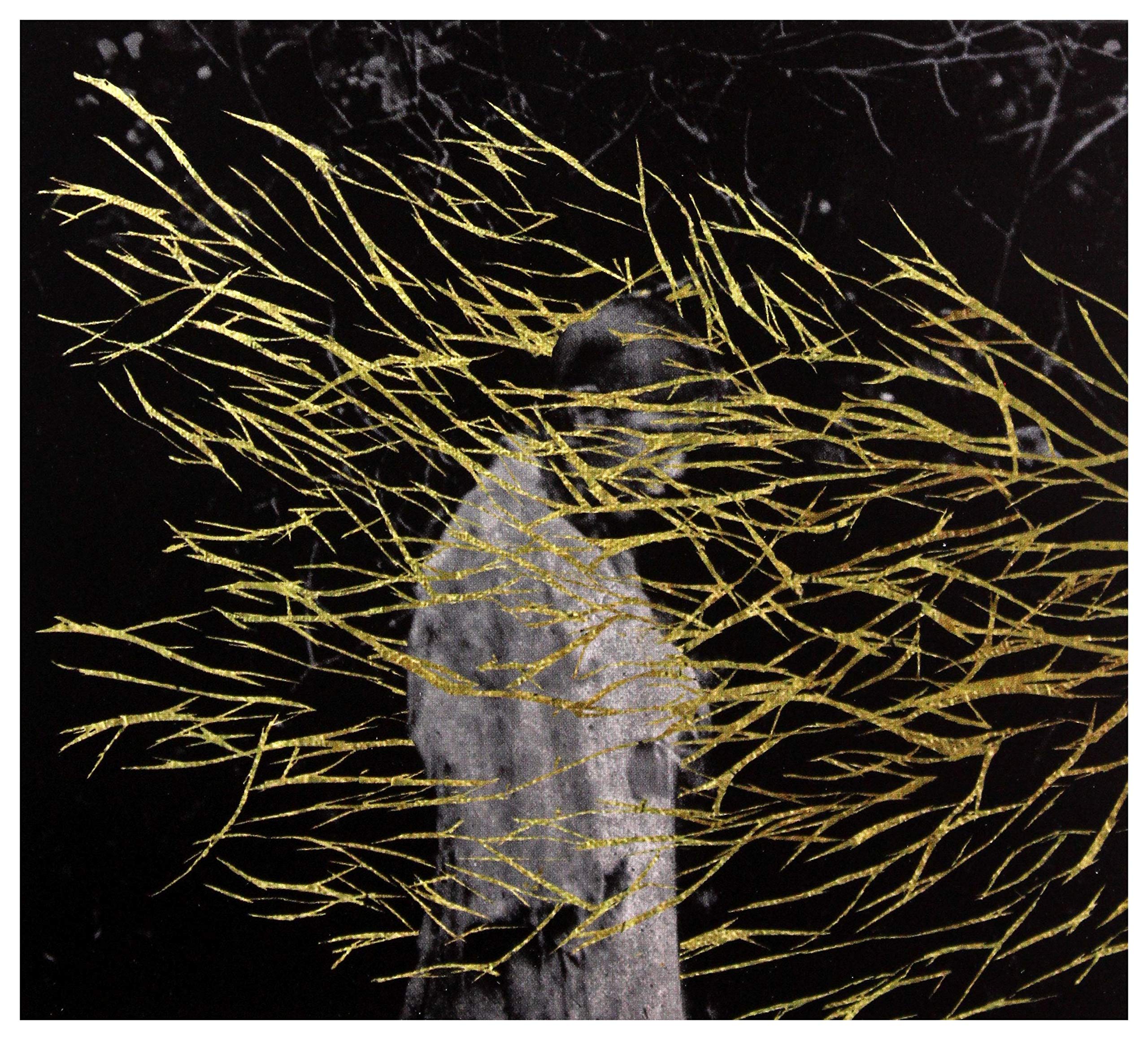 Engravings Dance & Electronic