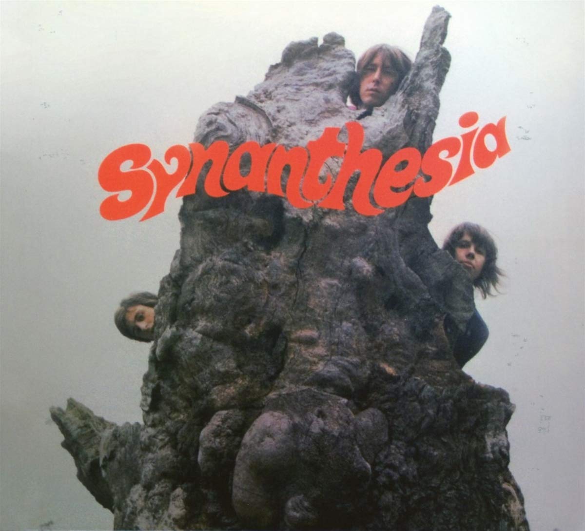 Synanthesia (Digipak-Edition+Bonus) Rock