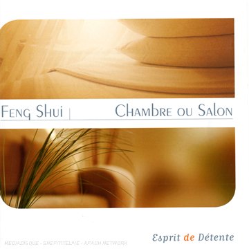 Esprit de Detente:Feng-Shui Other music genres