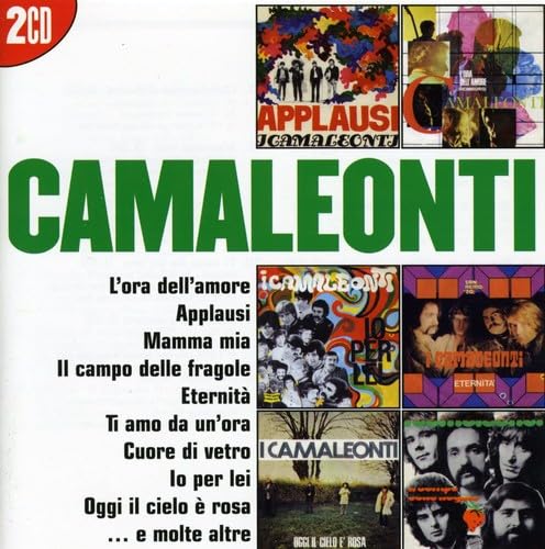 I Grandi Successi: Camaleonti Pop