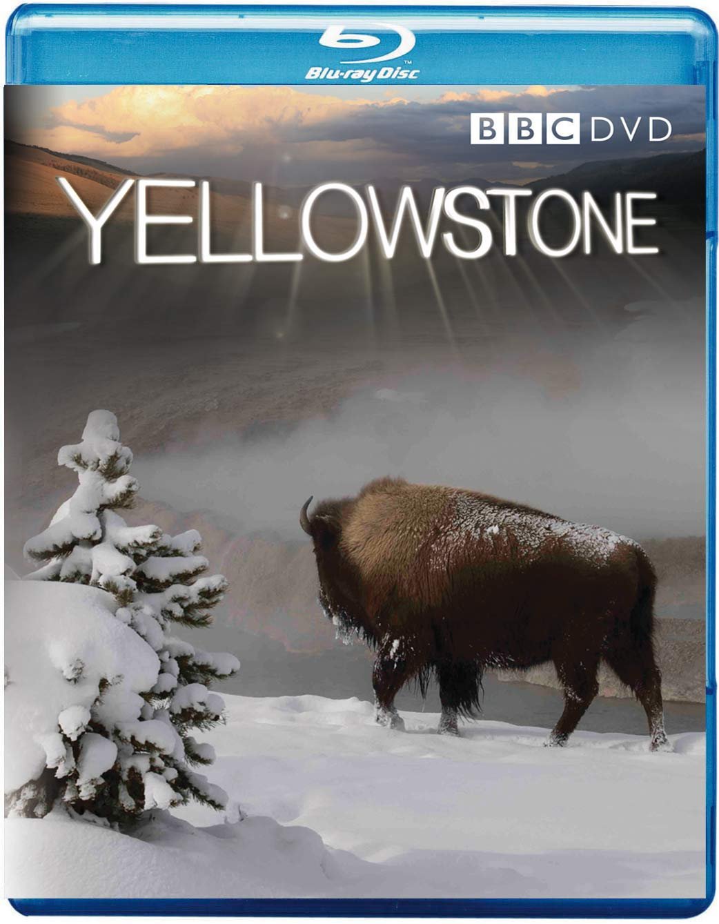 Yellowstone Movies