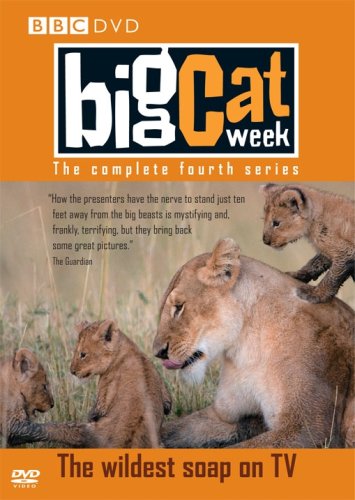 Big Cat Week - Series 4 Box sets