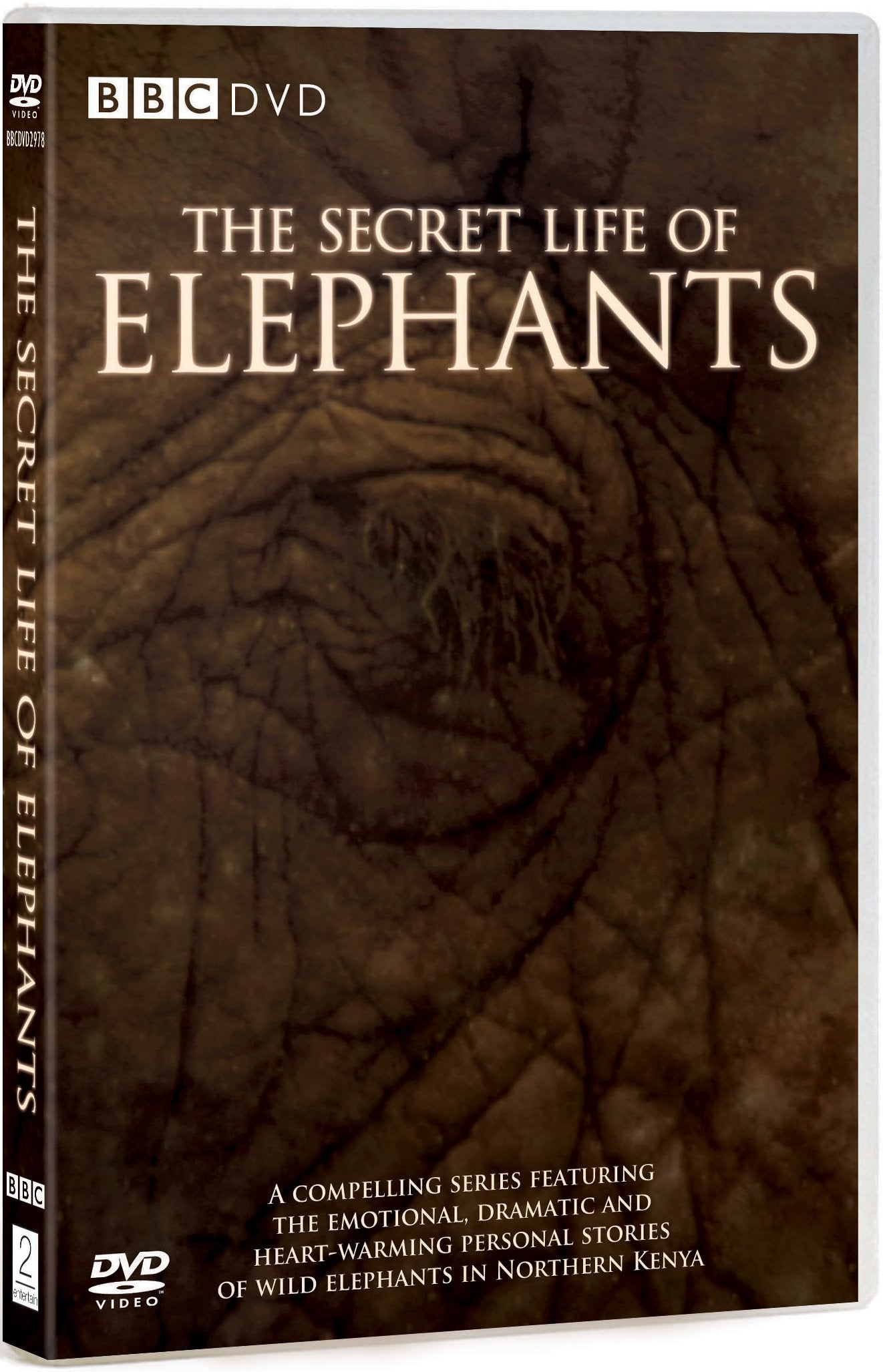 The Secret Life of Elephants Films