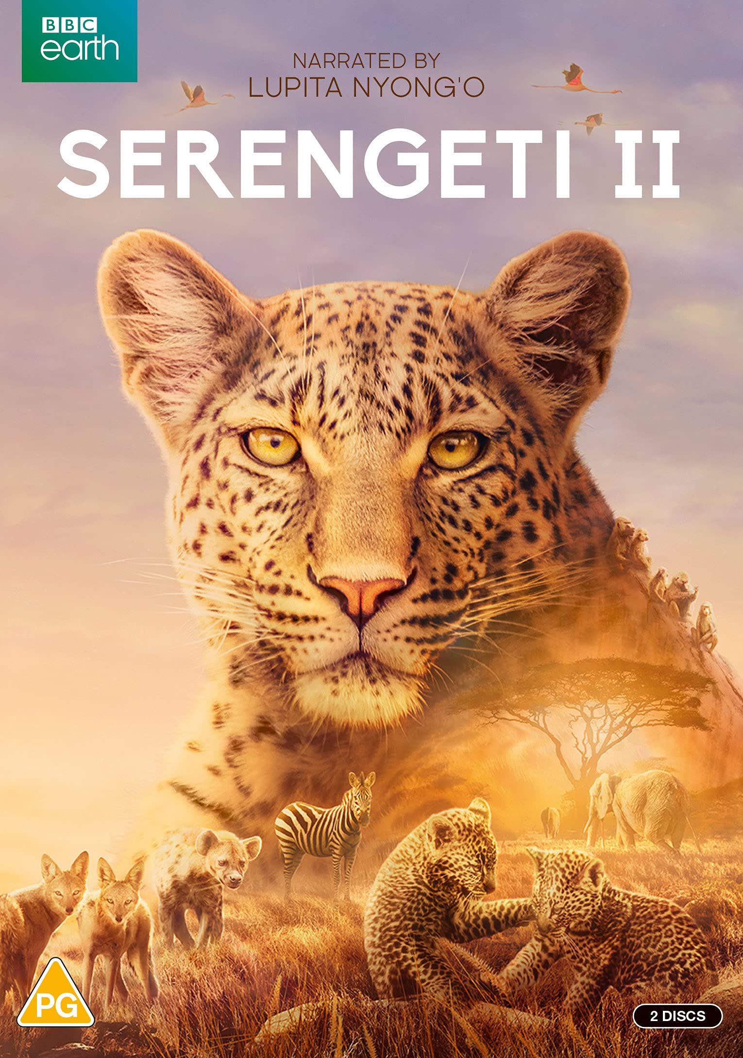 Serengeti II Box sets