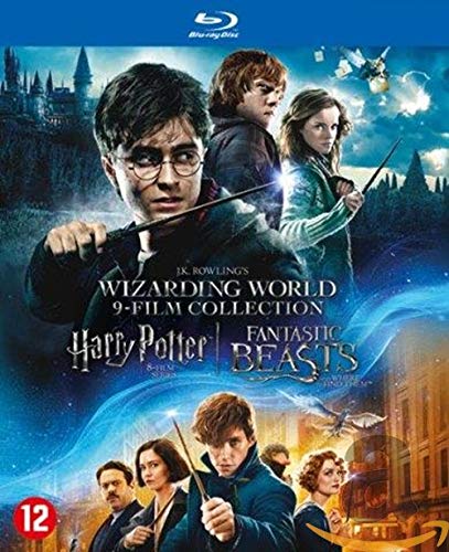 Harry Potter 1-8 + Fantastic beasts 1 dvd