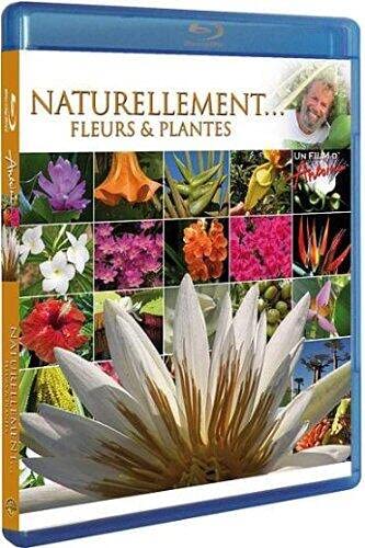 Antoine : fleurs, plantes, fruits Films