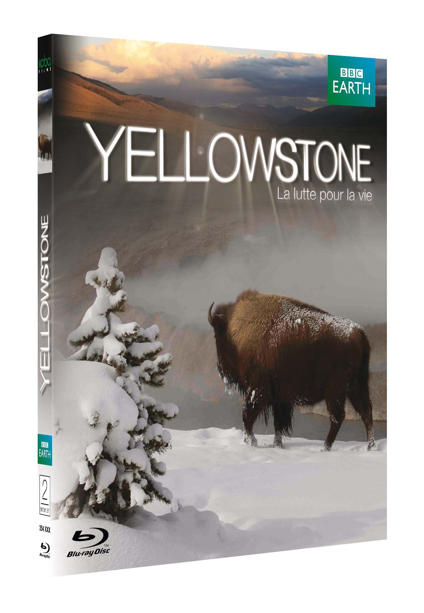 Yellowstone, la lutte pour la vie Films