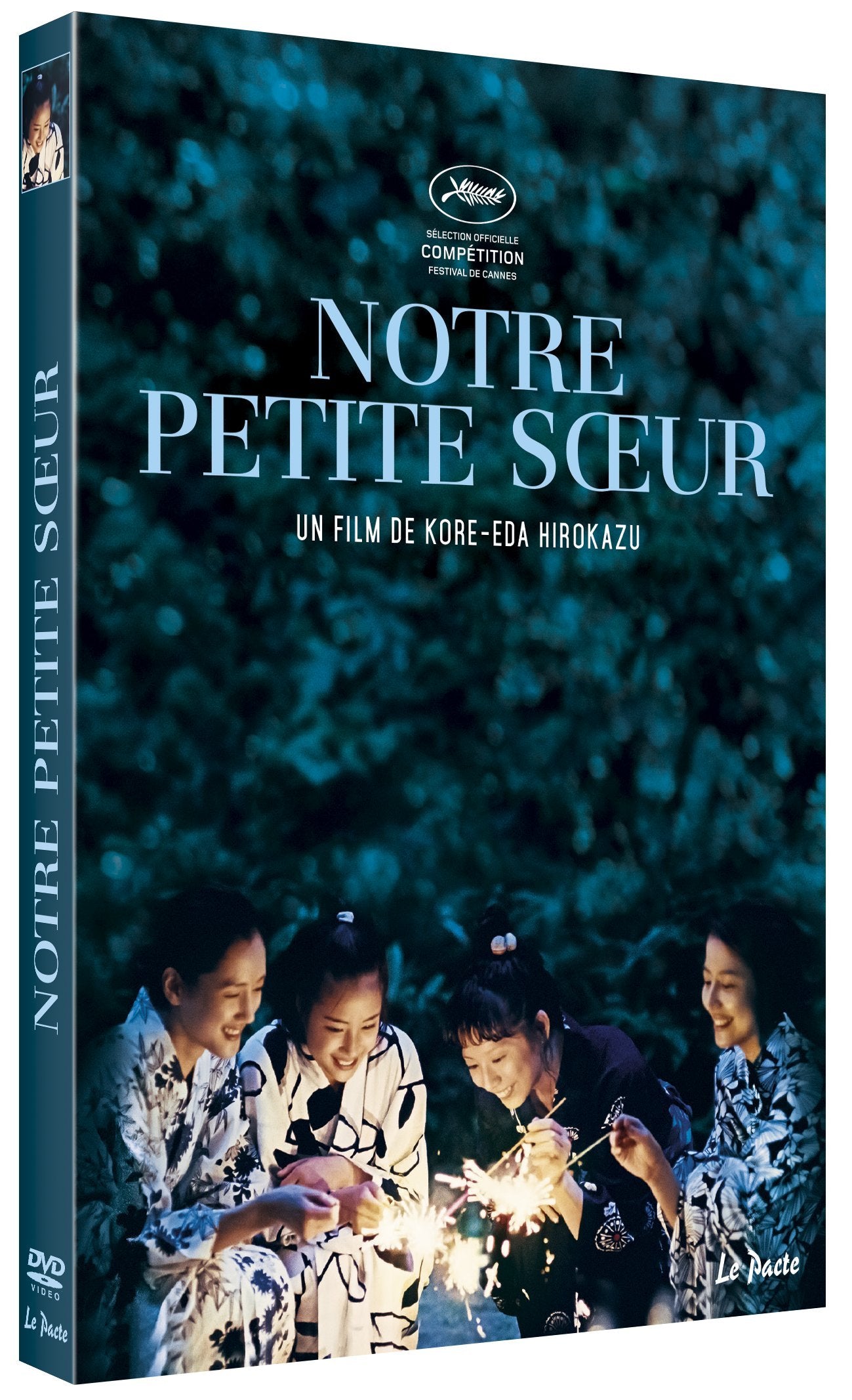 Notre petite soeur Films