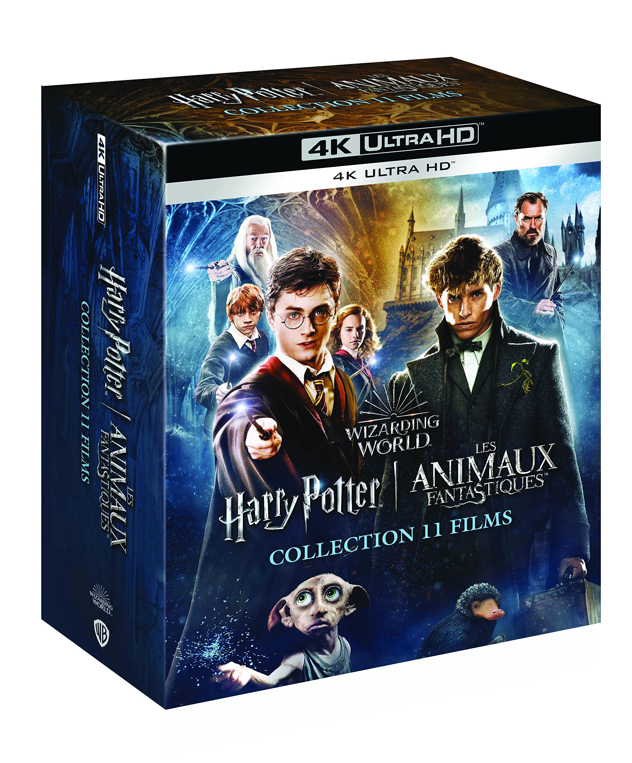Wizarding World : Intégrale Harry Potter + Les Animaux Fantastiques : 11 Films dvd