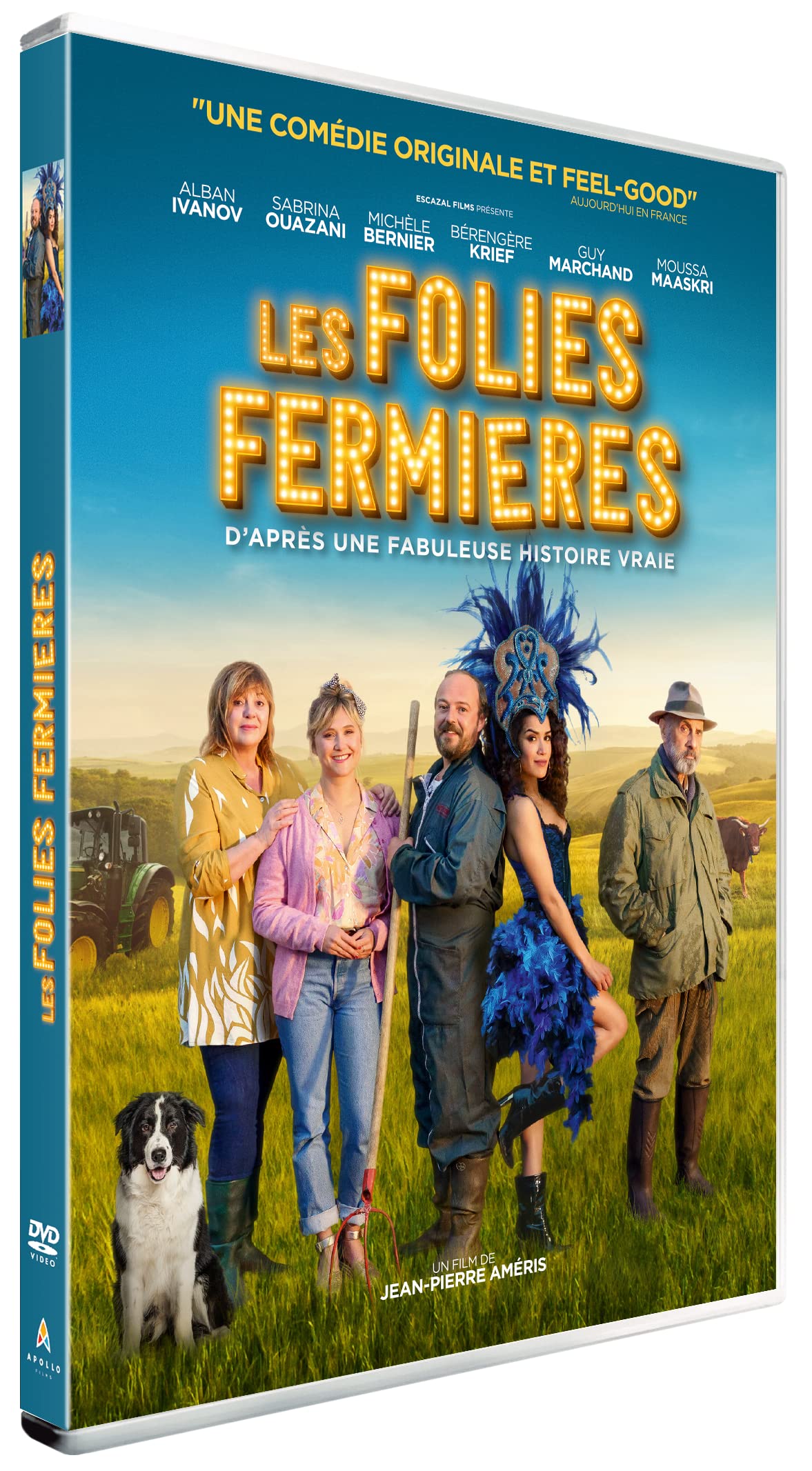 Les folies fermières Films