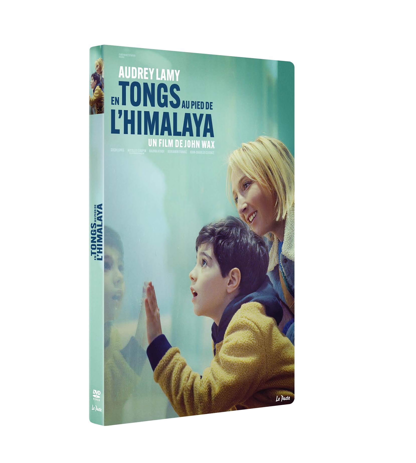 en Tongs au Pied de l'Himalaya dvd