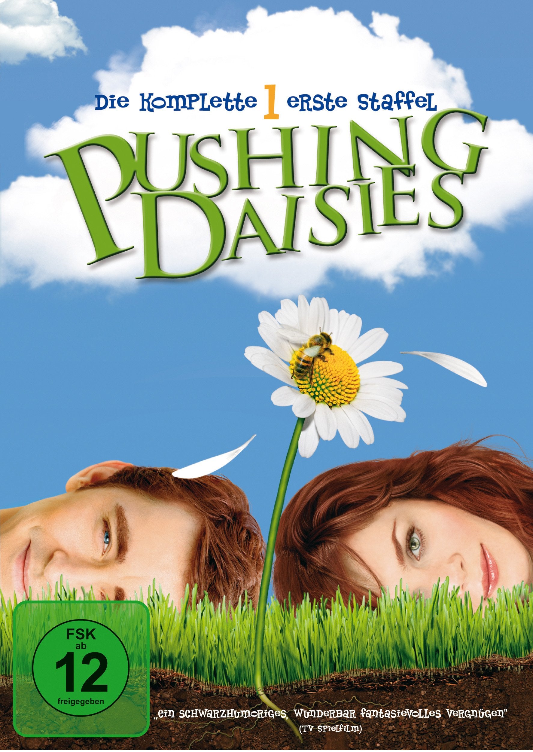 Product Image: Pushing Daisies - Die komplette erste Staffel