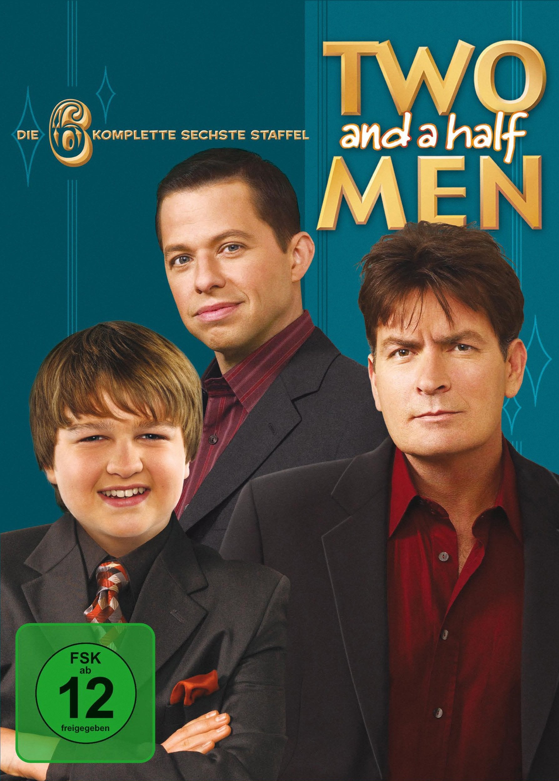 Two and a Half Men: Mein cooler Onkel Charlie - Die komplette sechste Staffel Box sets