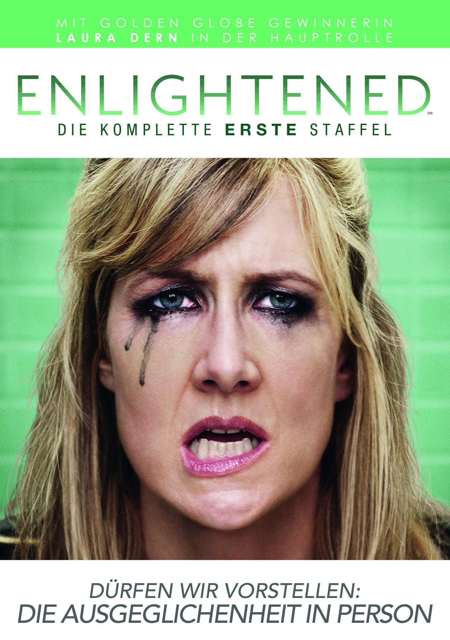 Enlightened - Erleuchtung mit Hindernissen Box sets