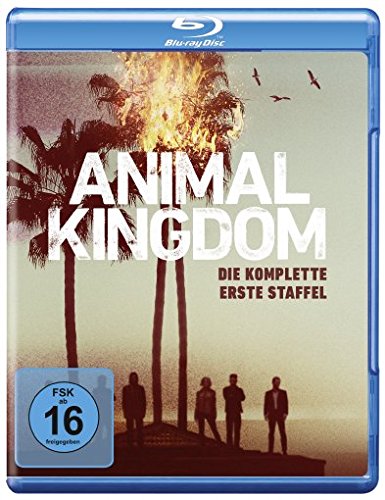 Animal Kingdom Box sets