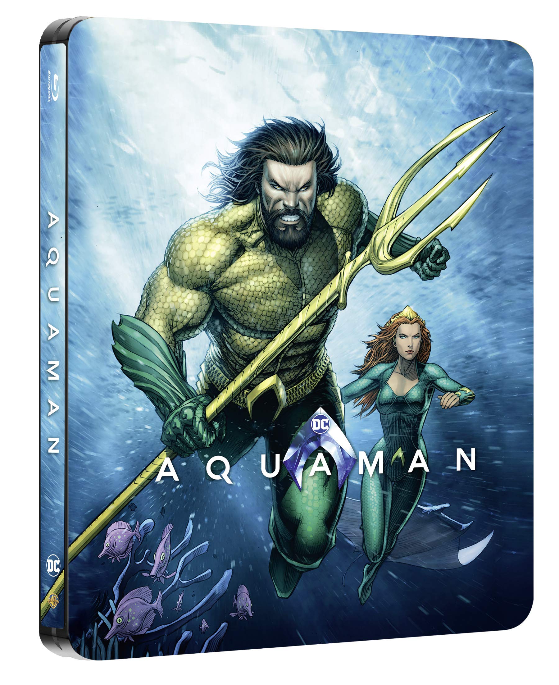 Product Image: Aquaman Steelbook Illustrated Artwork (Blu-ray 2D)