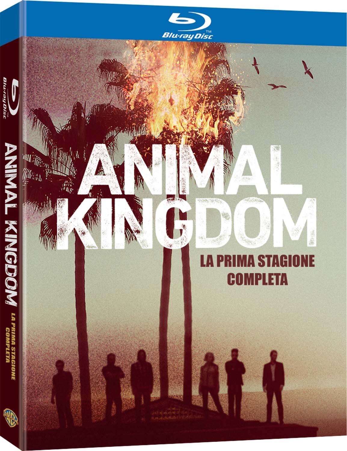 animal kingdom - season 01 (2 blu-ray) box set BluRay Italian Import Box sets