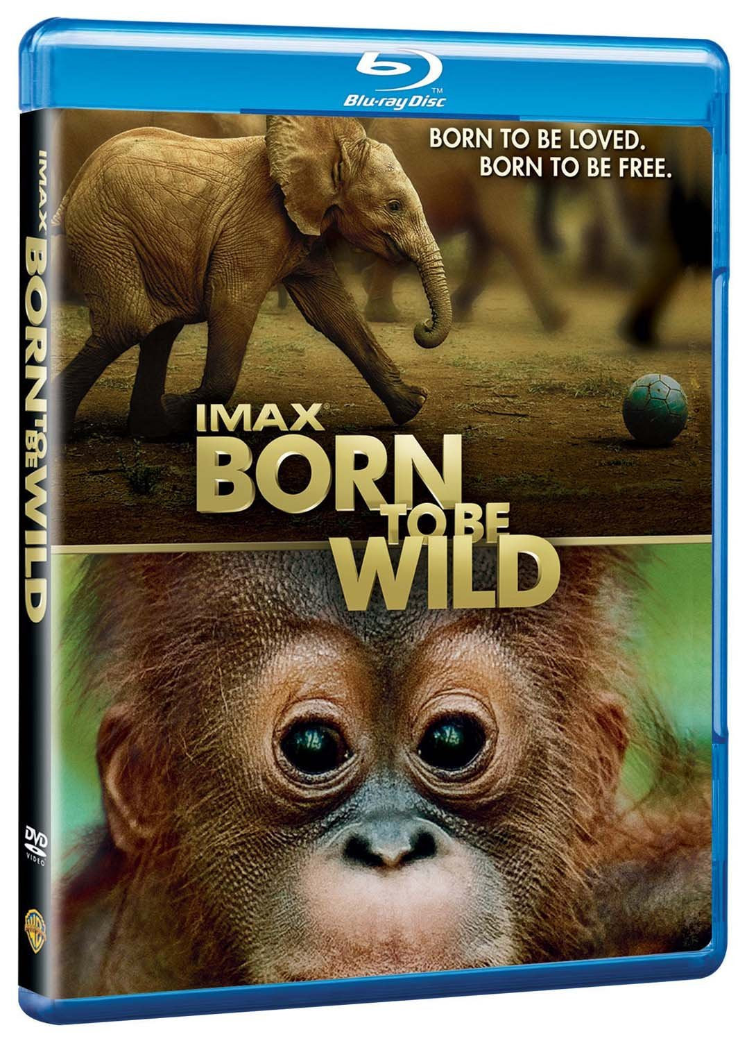 Imax: Born to Be Wild 3d Films