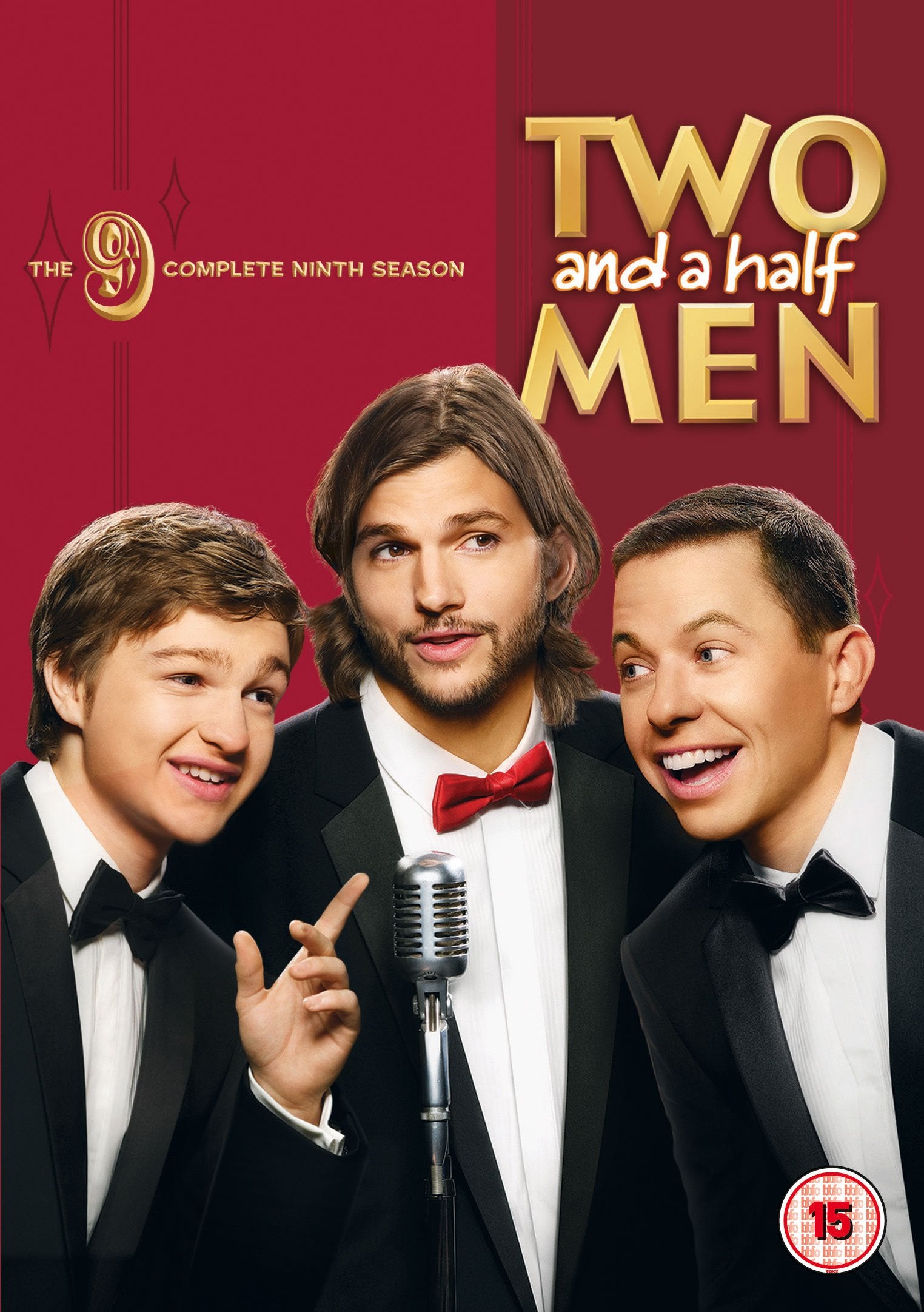 Two and a Half Men: Mein cooler Onkel Charlie - Die komplette neunte Staffel Box sets
