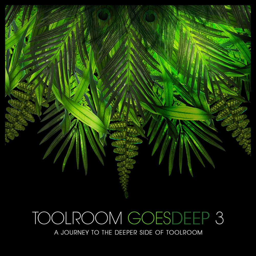 Toolroom Goesdeep 3 cd
