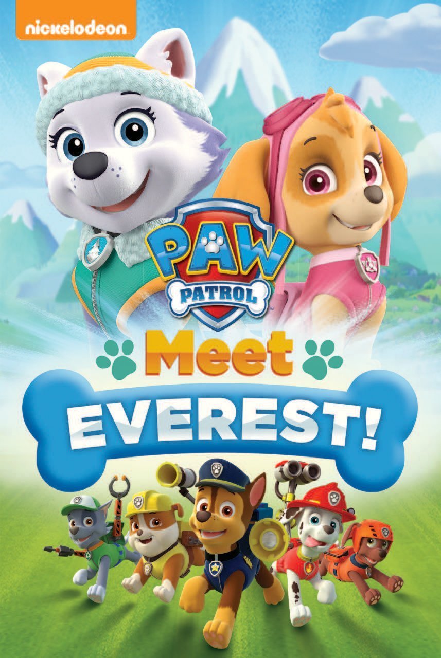 Paw Patrol: Meet Everest! Box sets