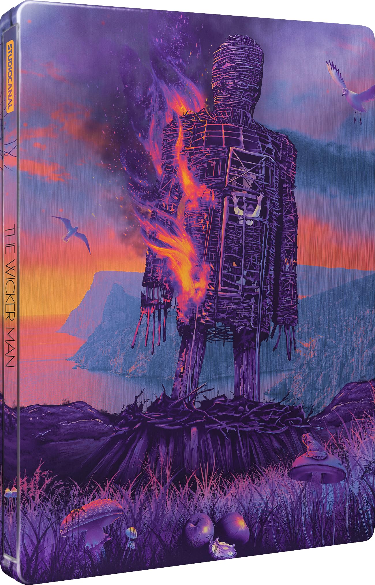 The Wicker Man - Édition SteelBook - Blu-Ray 4k Ultra HD + Blu-Ray game