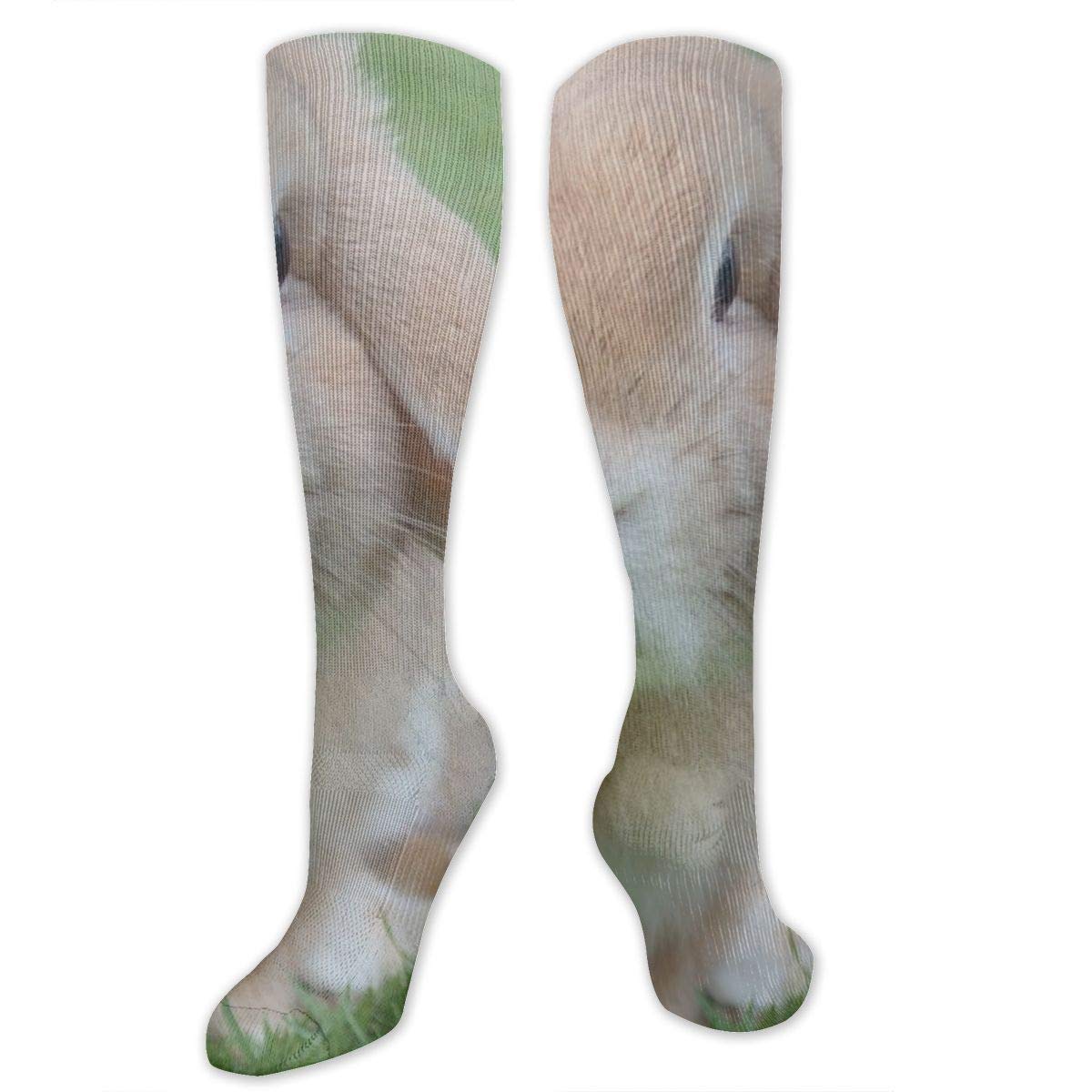 Product Image: D17 Summer Festivals