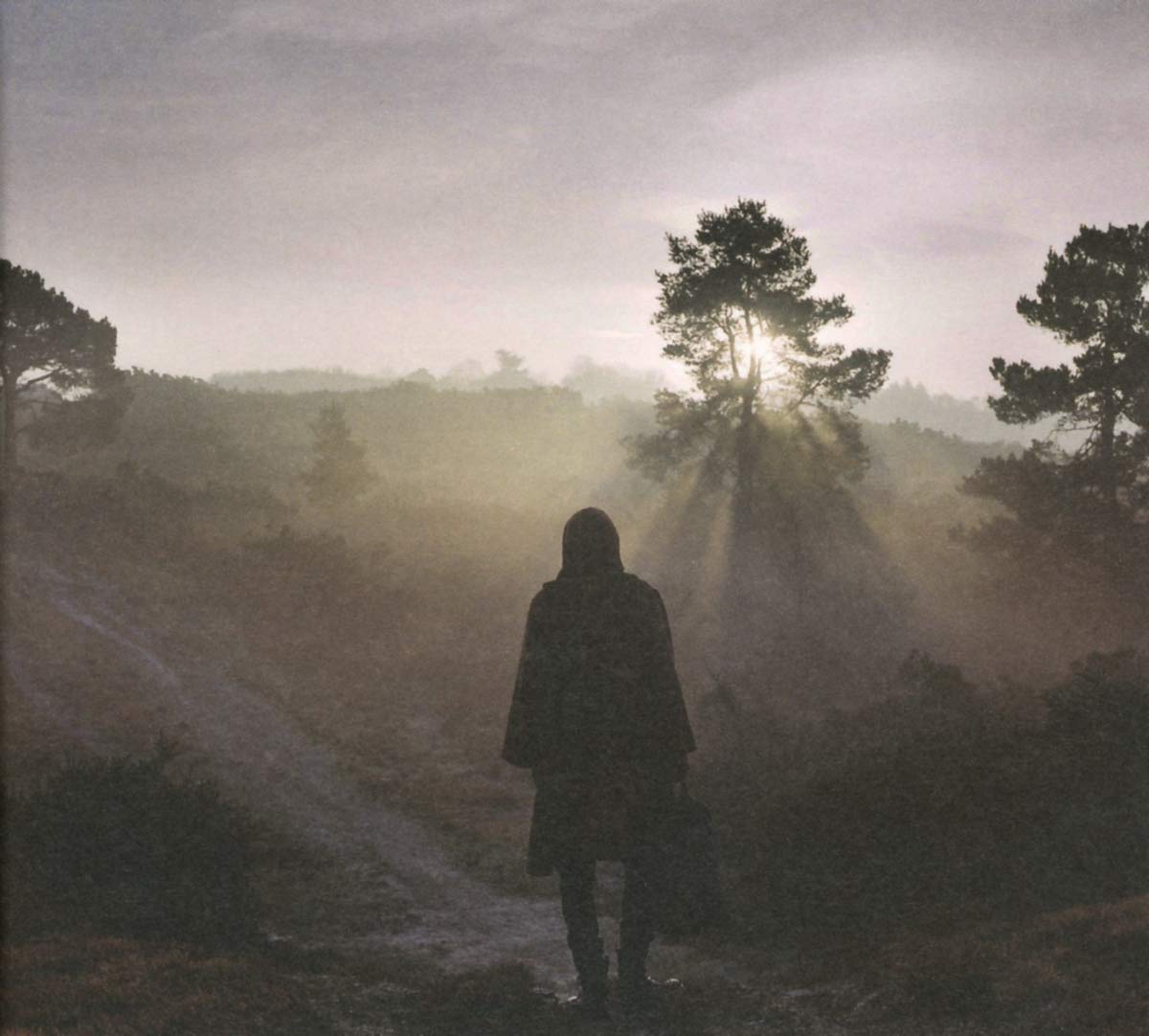 A New Nature Alternative & Indie