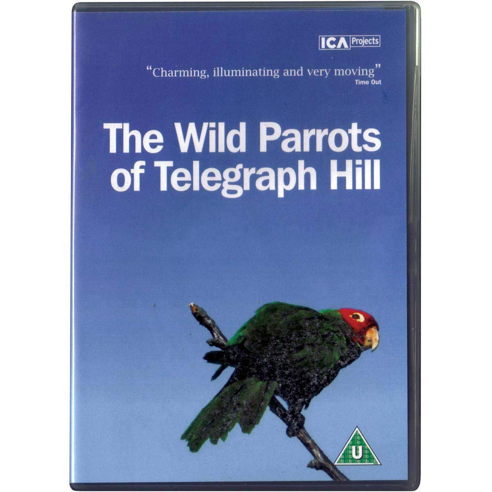 The Wild Parrots Of Telegraph Hill Films