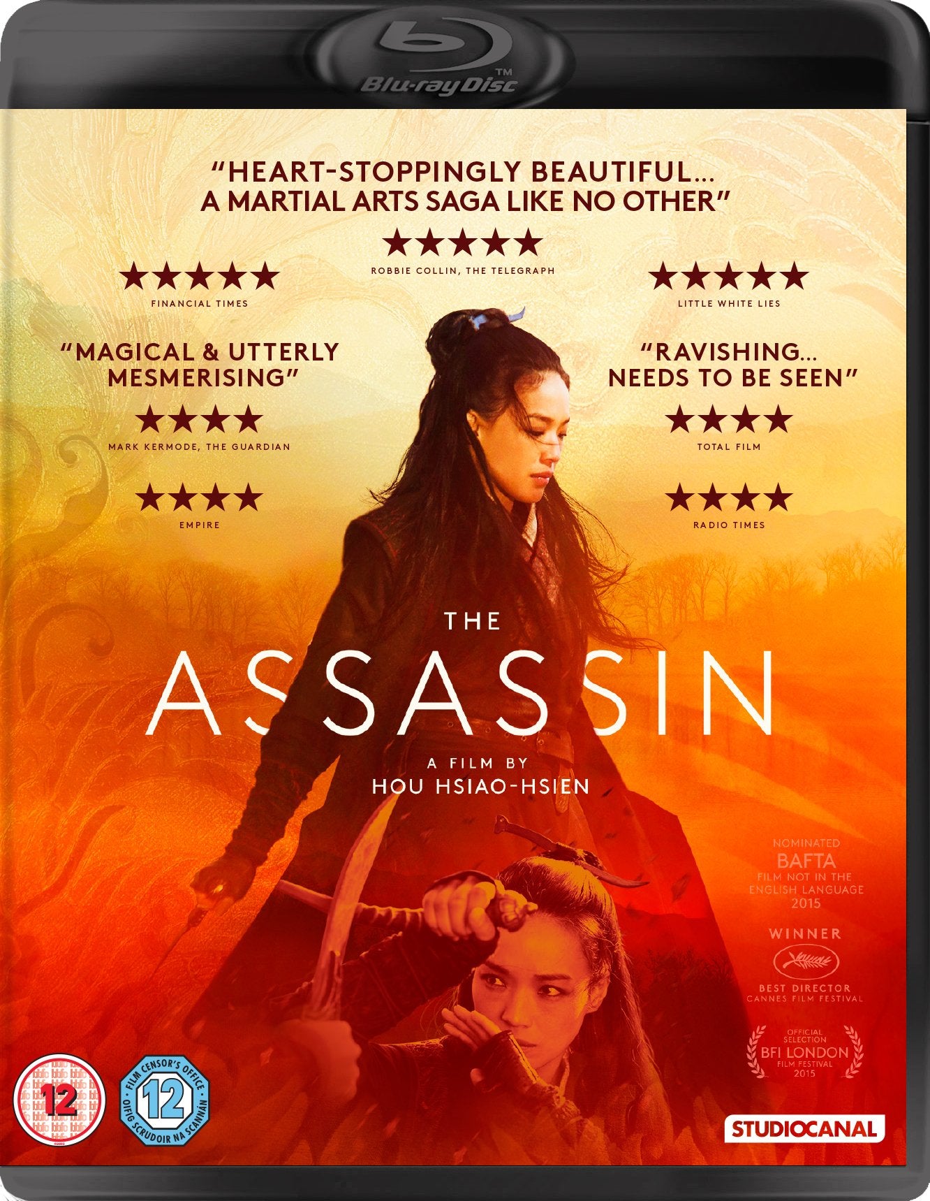 The Assassin Movies