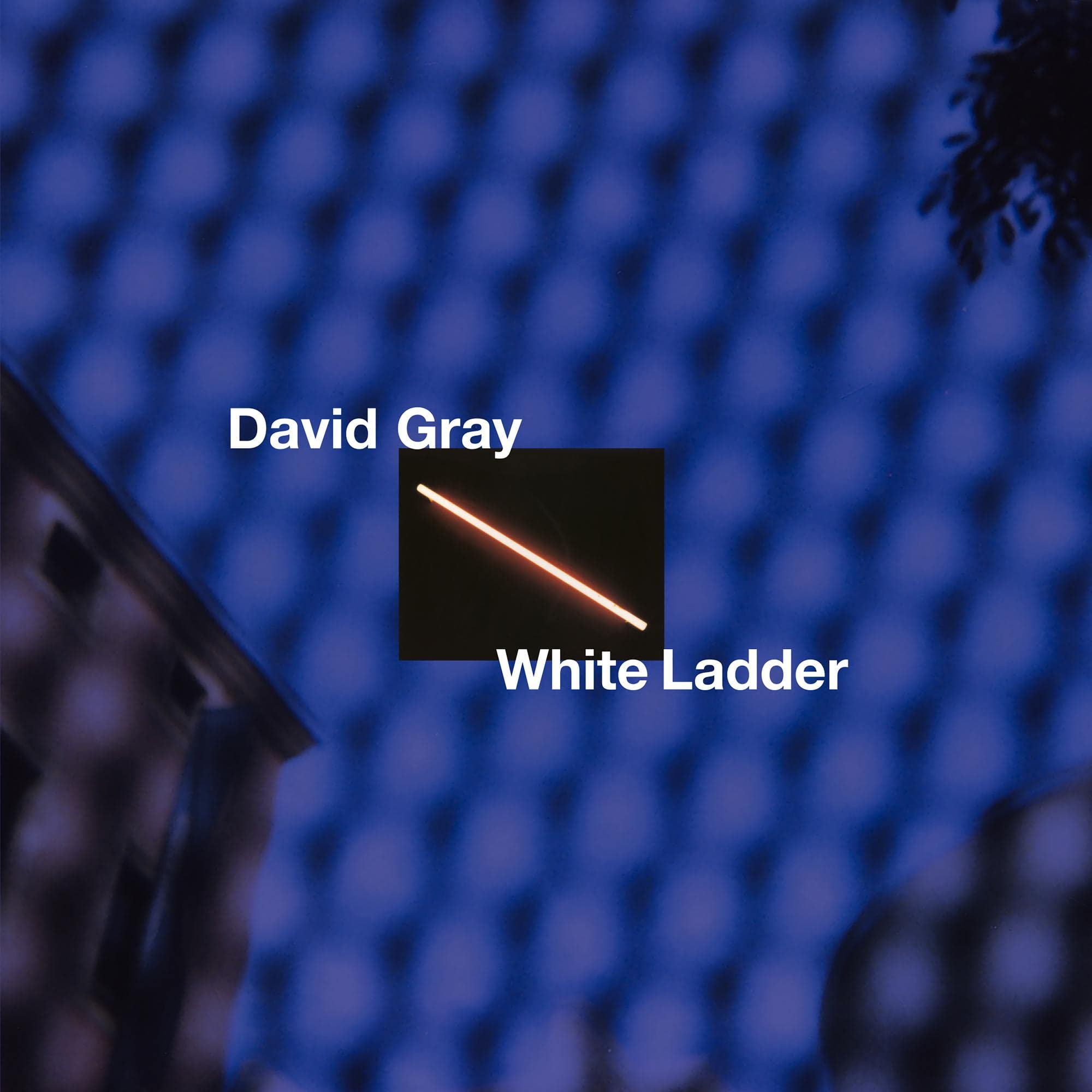 White Ladder Jazz