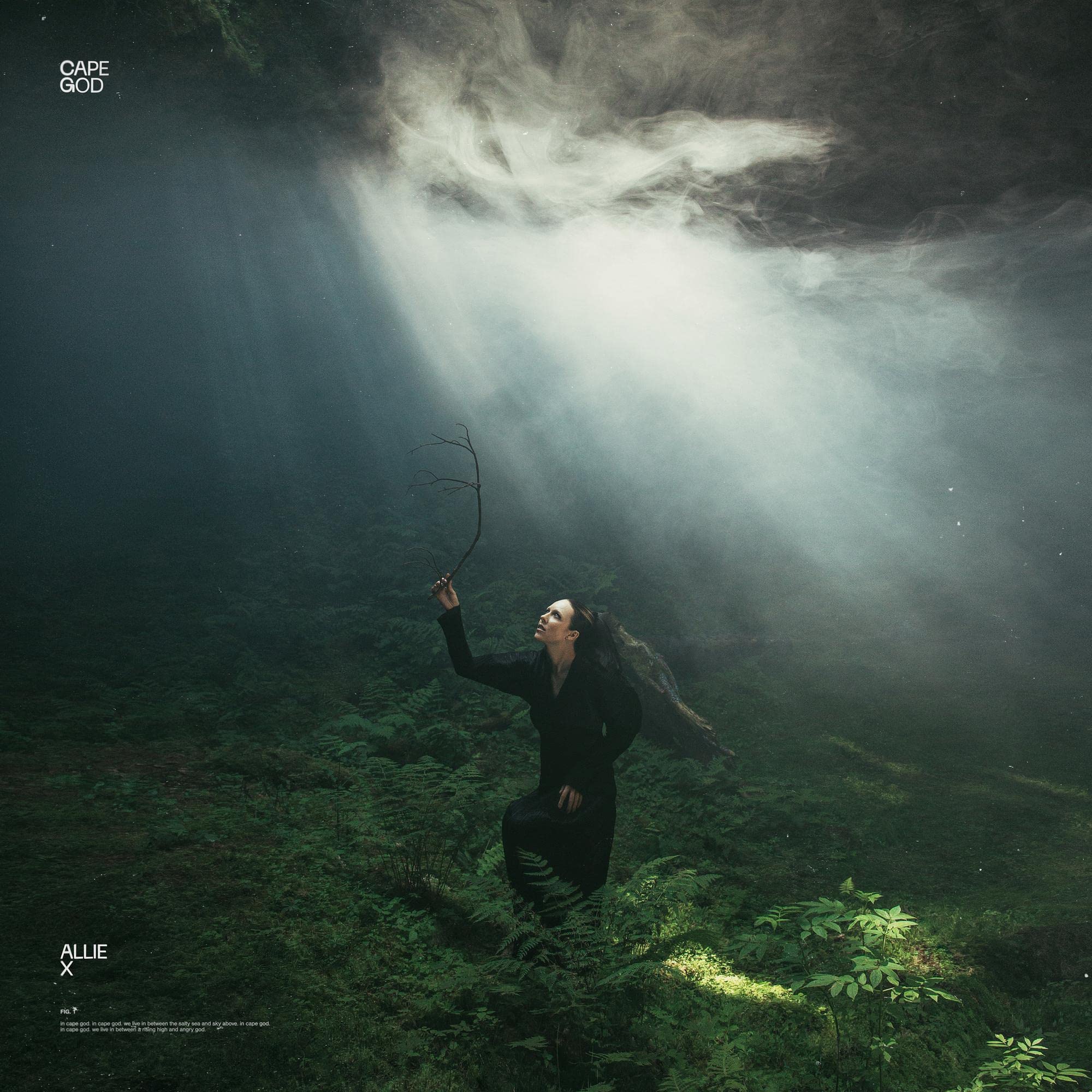 Product Image: Cape God
