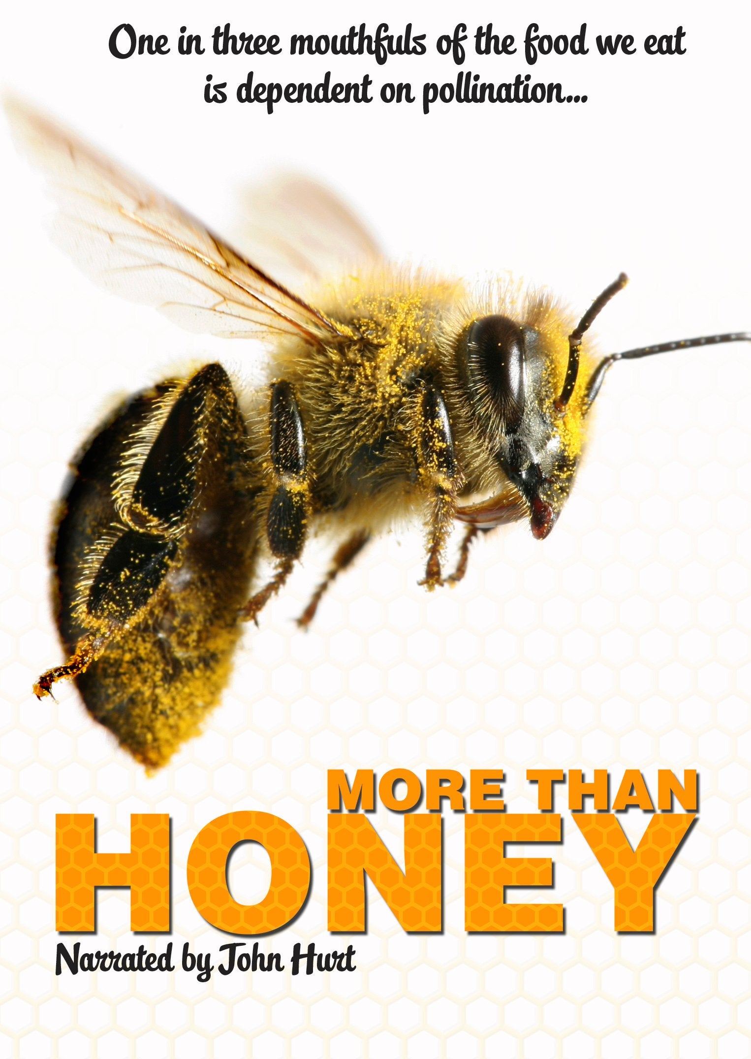 More Than Honey Films