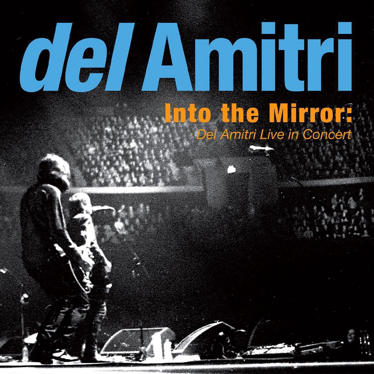 Into The Mirror: Del Amitri Live In Concert Music