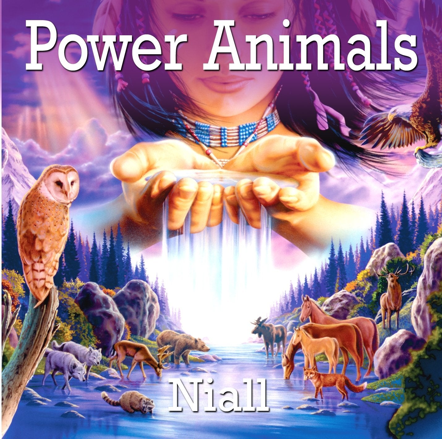 Product Image: Power Animals