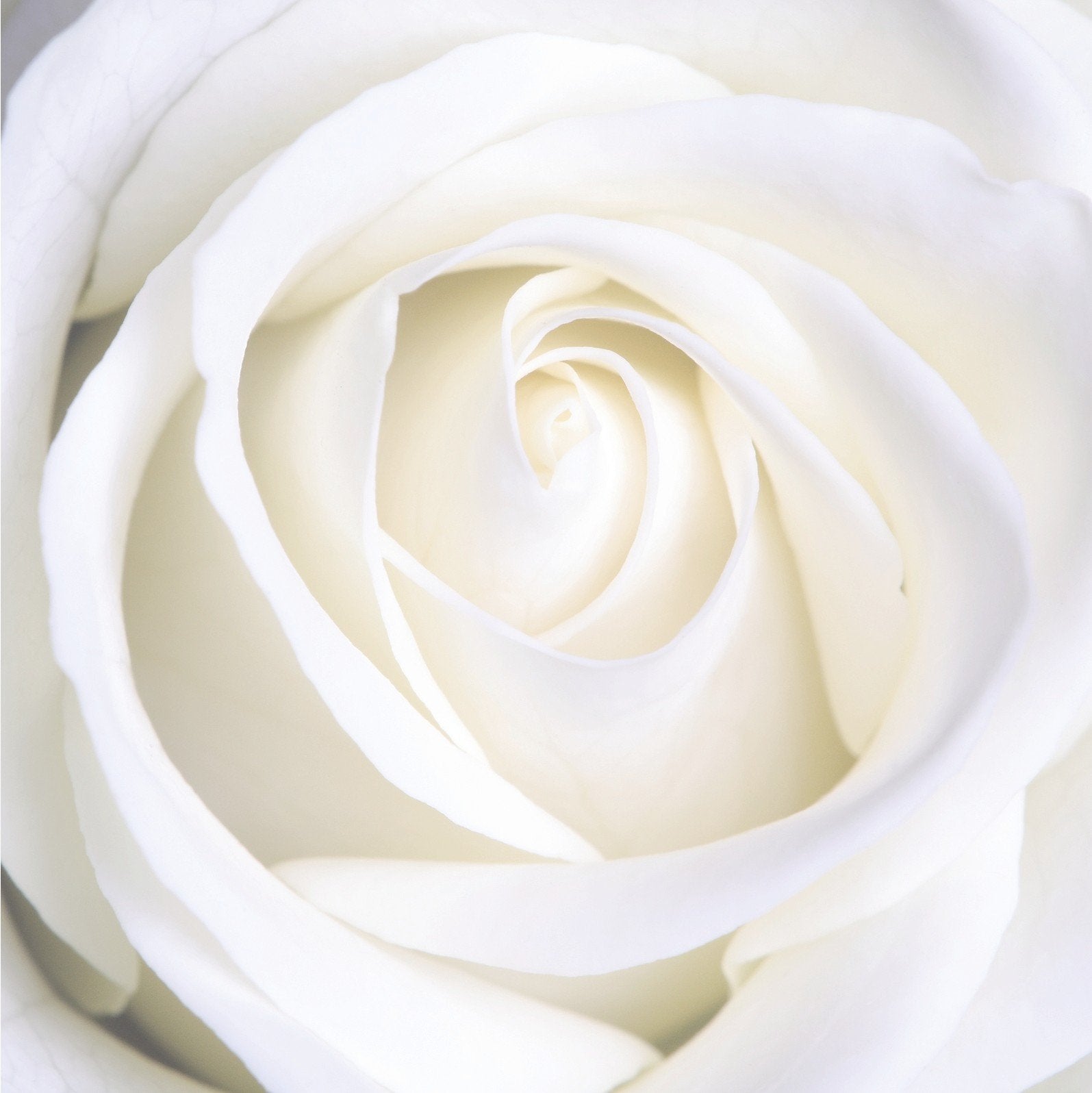 Relaxing Inspirational Music - Rose Card 1 Other music genres