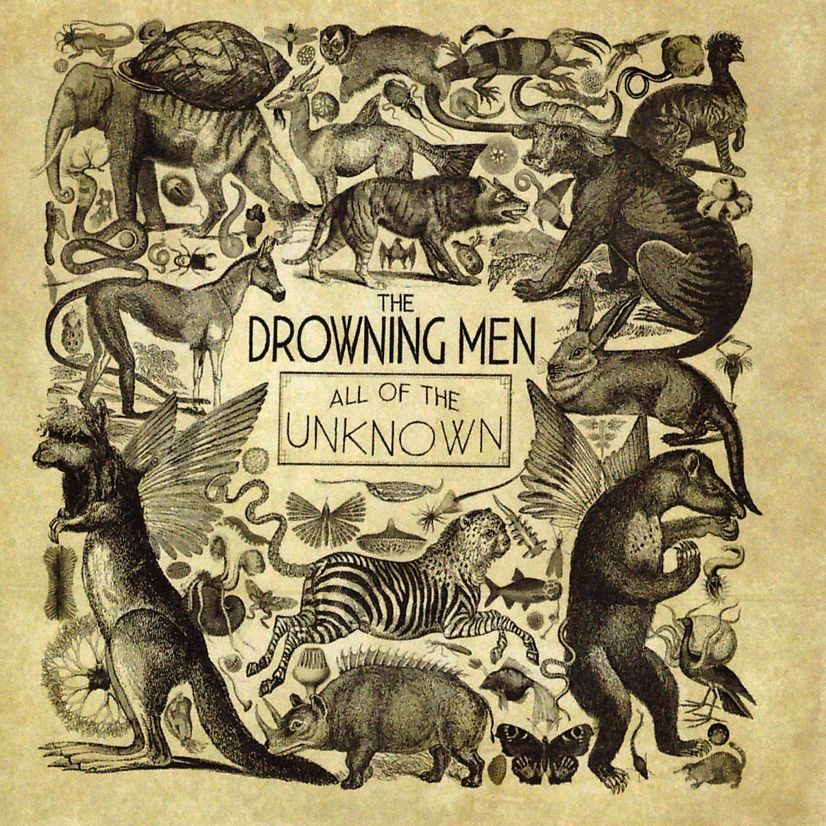 Product Image: All Of The Unknown