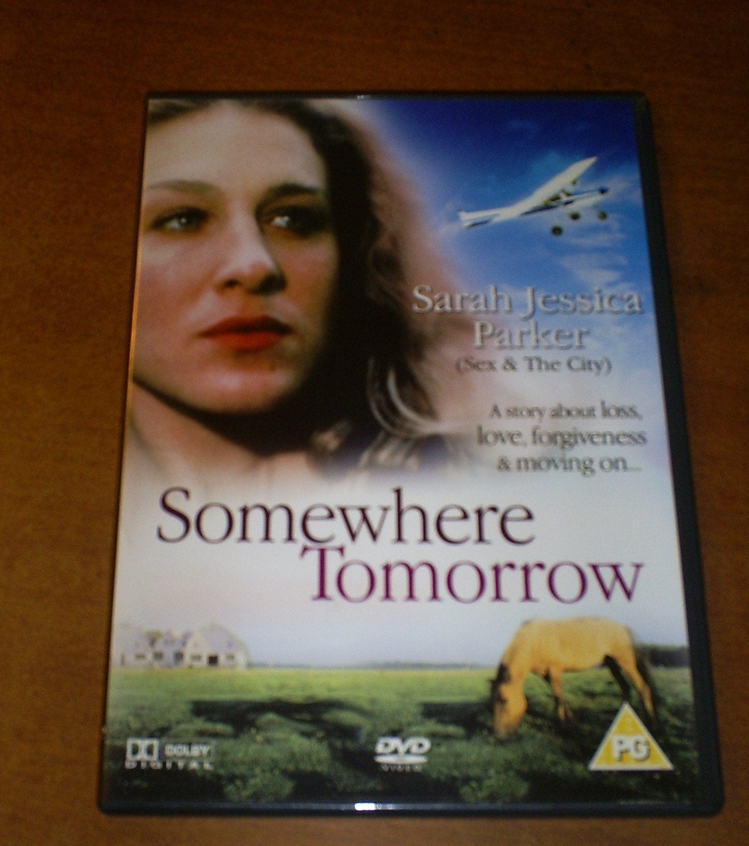 SOMEWHERE TOMORROW - A STORY ABOUT LOSS, LOVE, FORGIVENESS & MOVING ON... Books