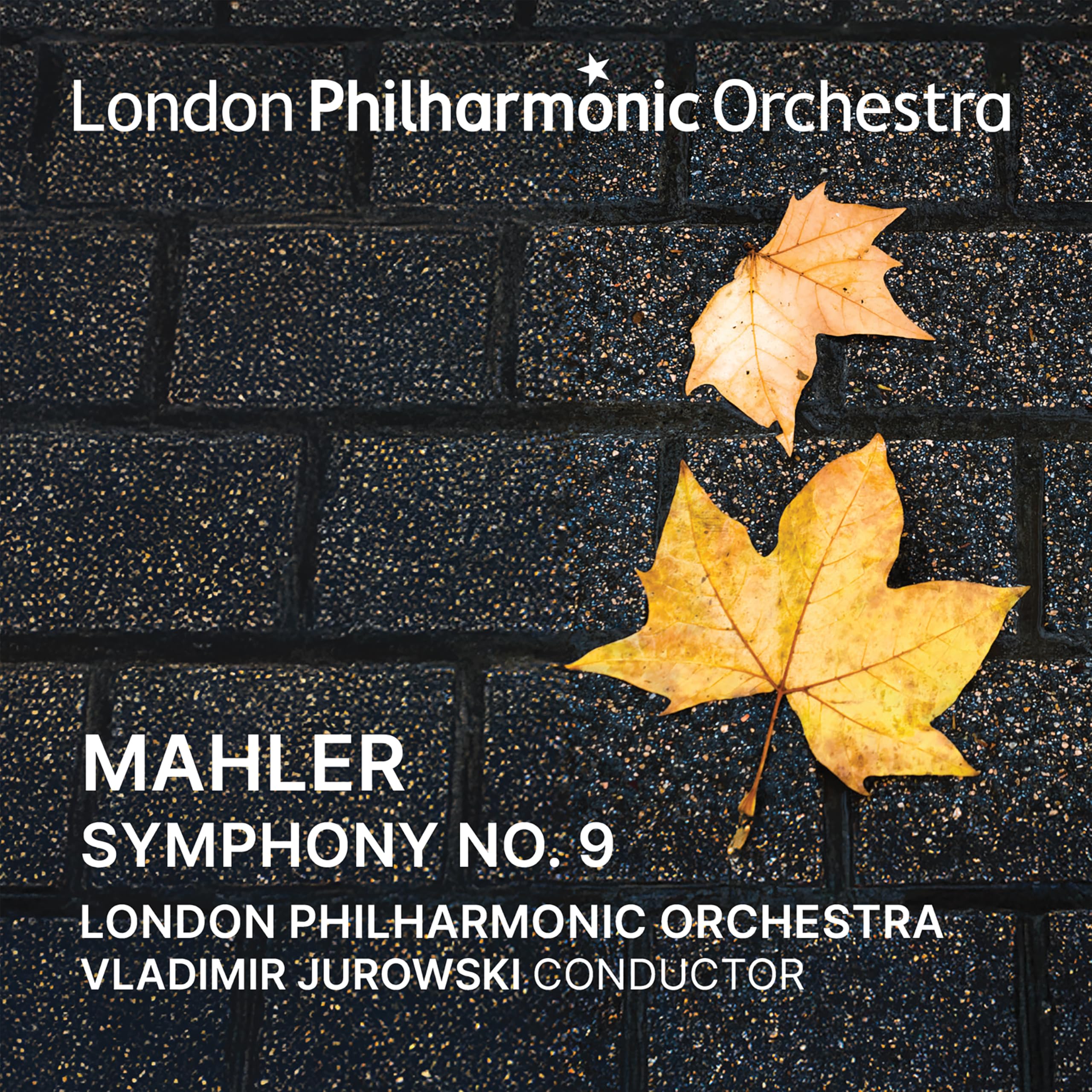 Vladimir Jurowski Conducts Mahler Symphony No. 9 Music