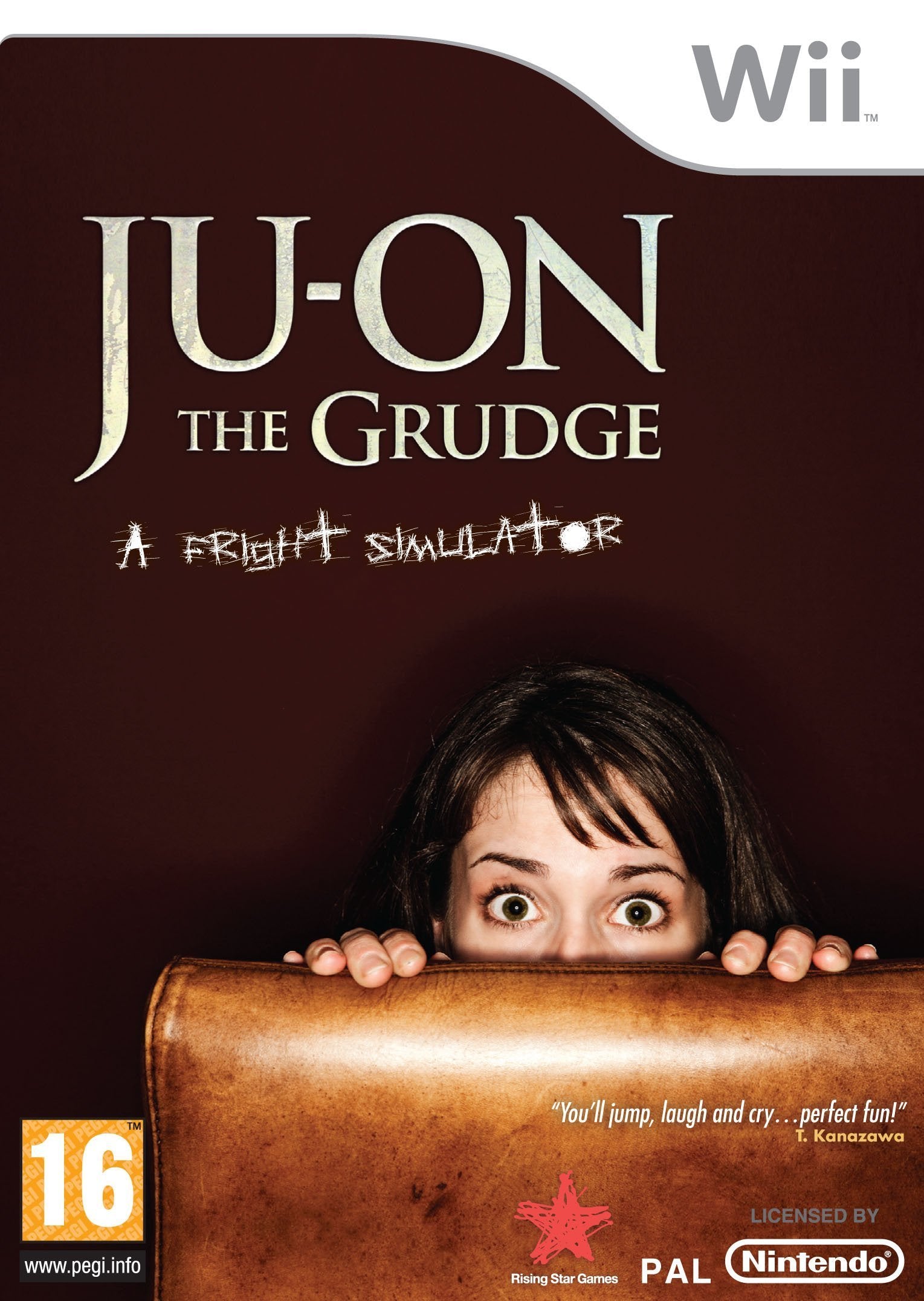 Ju-On: The Grudge (Wii) game