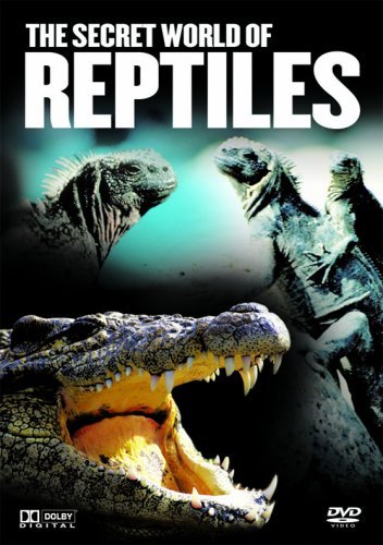 The Secret World of Reptiles Box sets