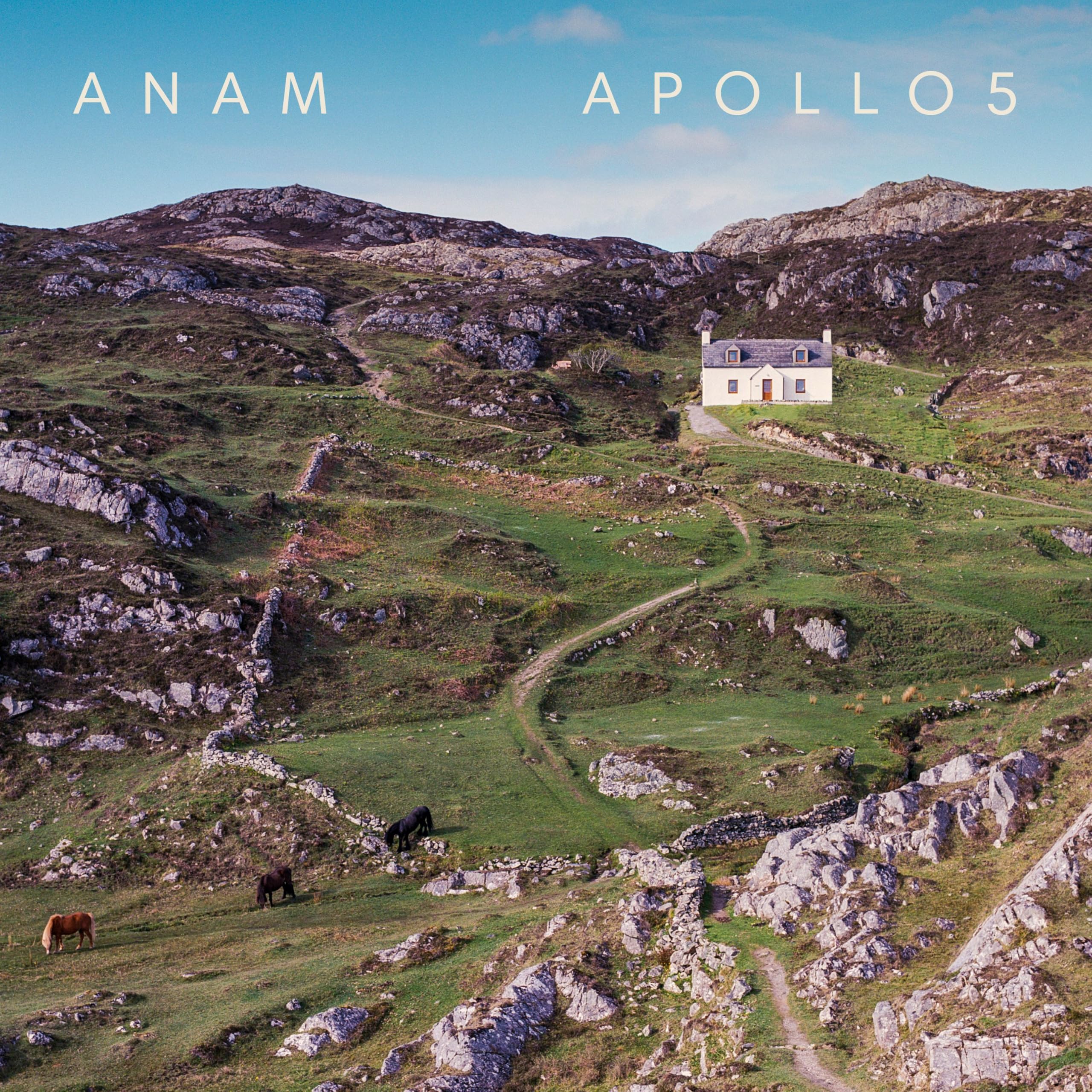 Anam: Music to Move the Soul Music