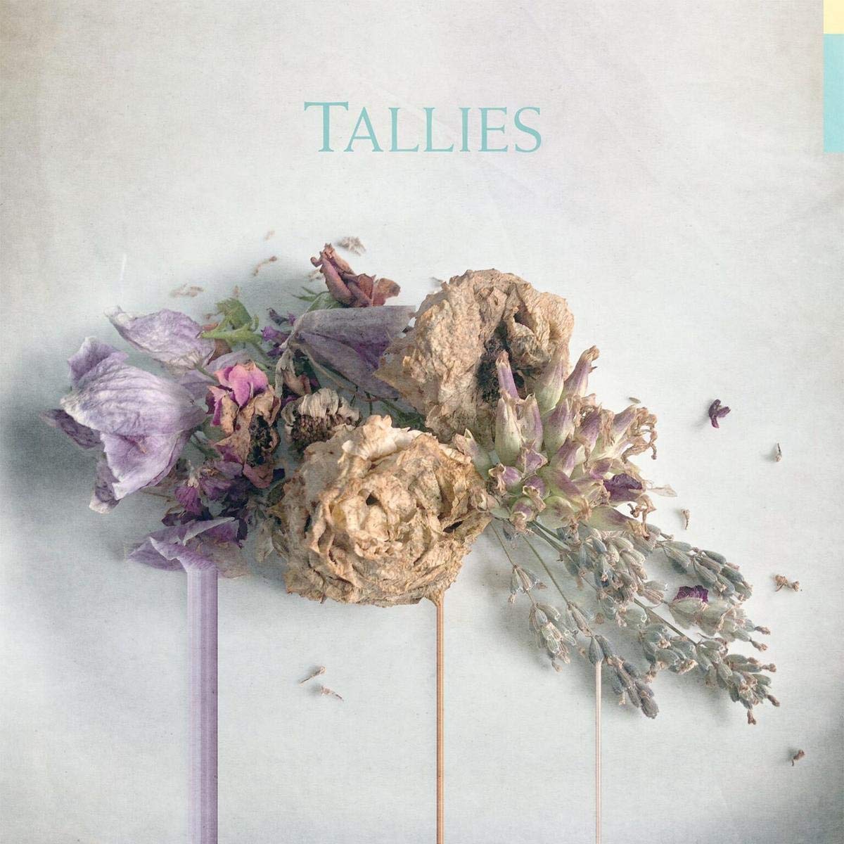 Tallies Rock