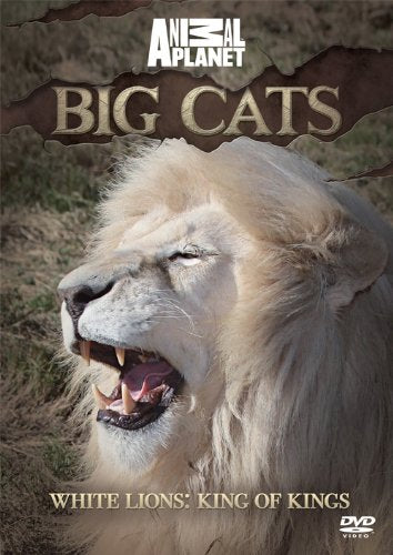 BIG CATS: White Lions: King of Kings Box sets