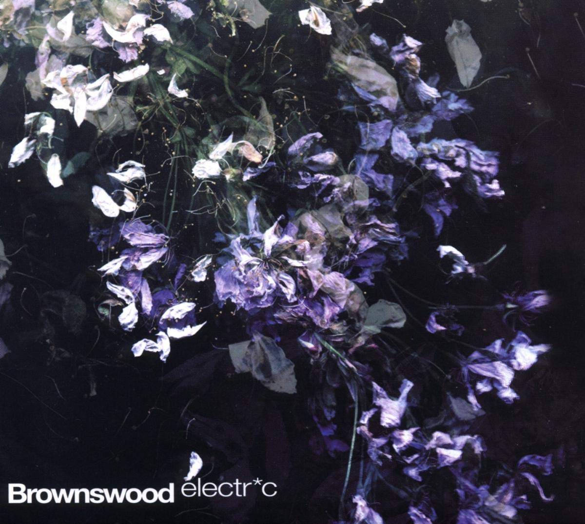Product Image: Brownswood Electric