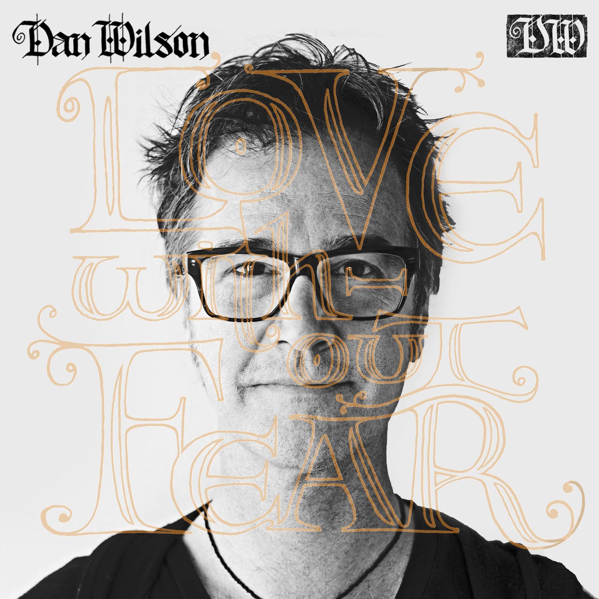 Product Image: Dan Wilson - Love Without Fear