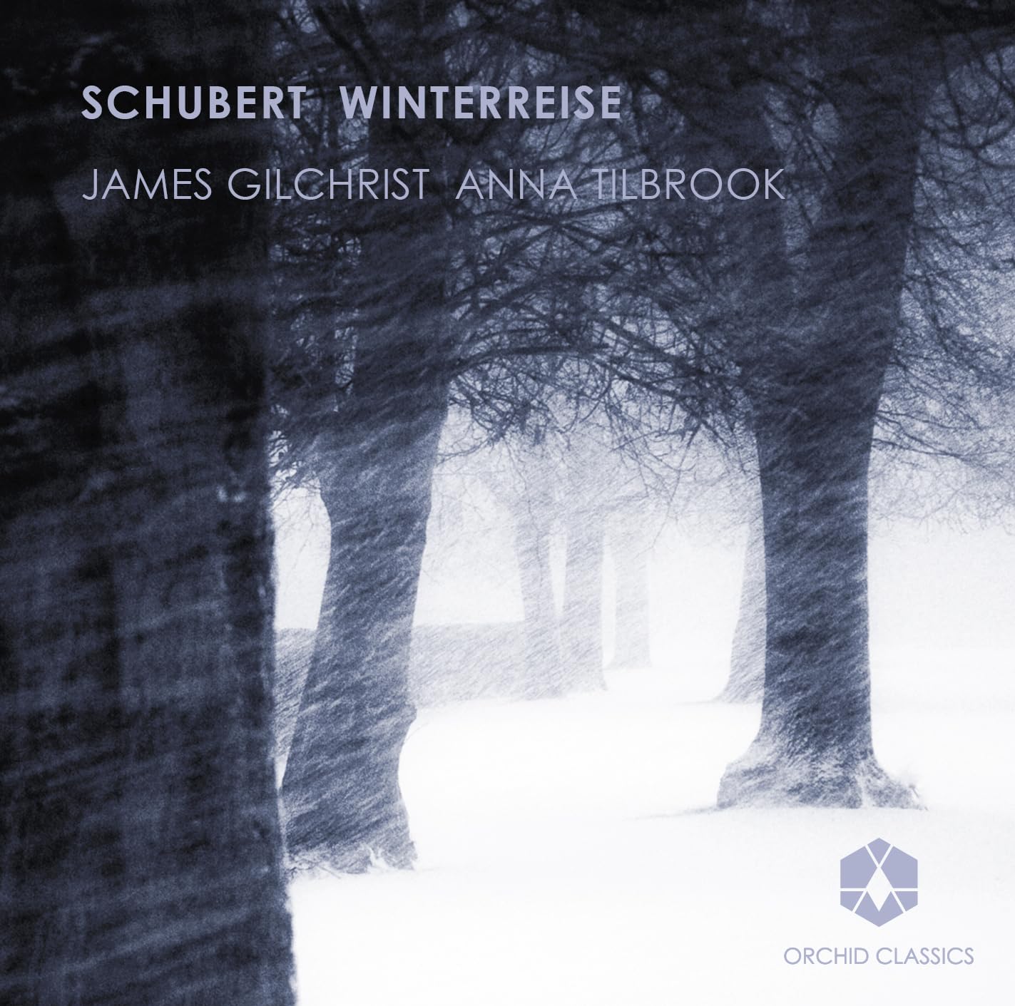 Franz Schubert: Winterreise Classical