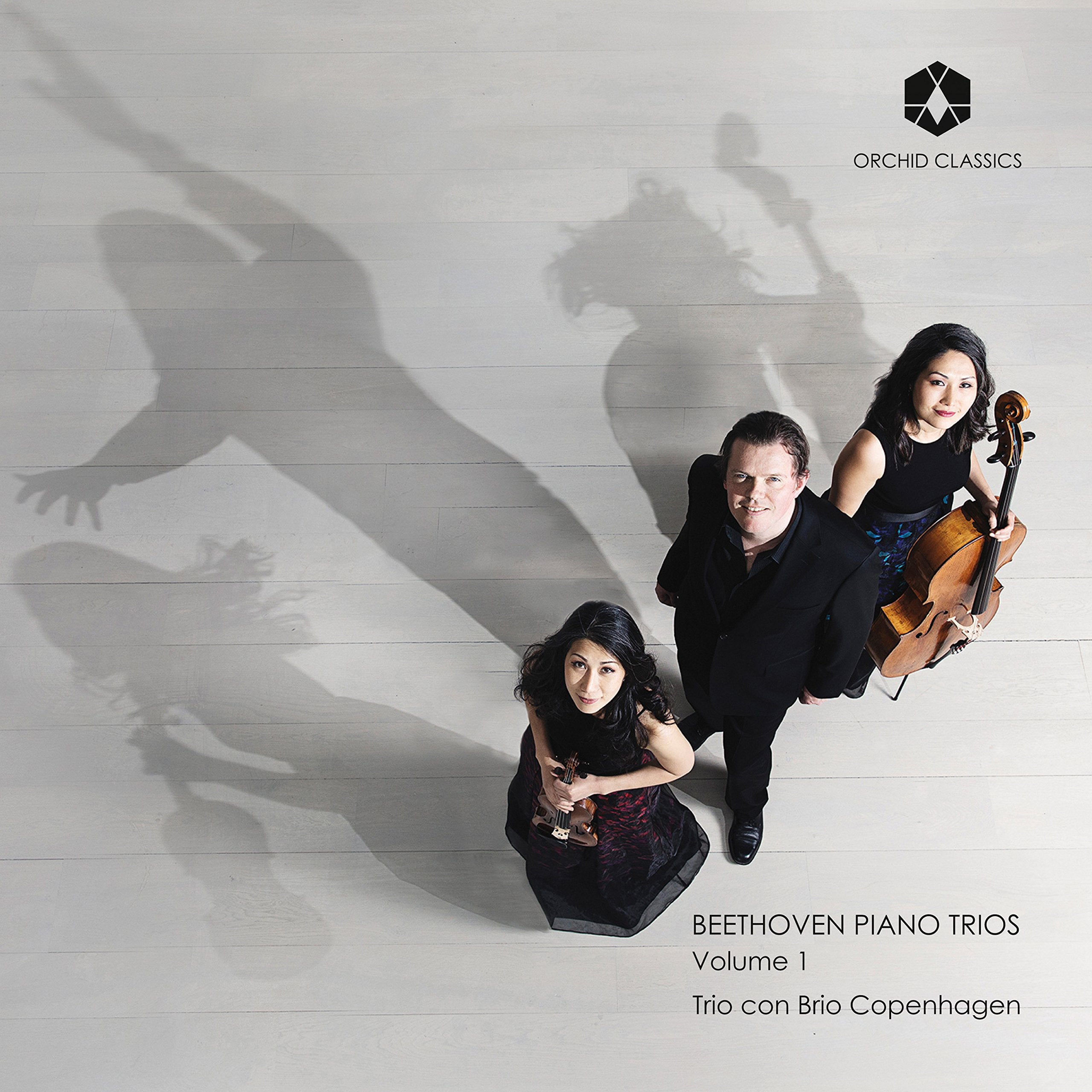 Beethoven Klaviertrios Vol.1 Classical
