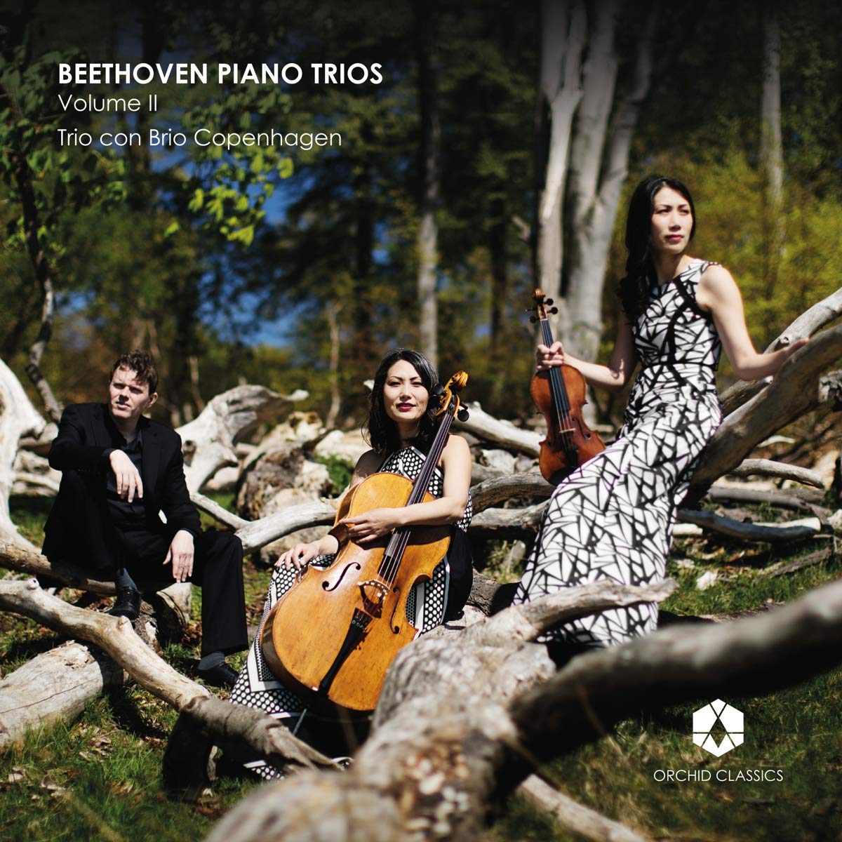 BEETHOVEN: Piano Trios Vol.2 cd